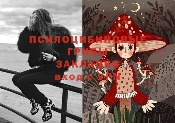 бошки Армянск