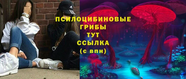 бошки Армянск