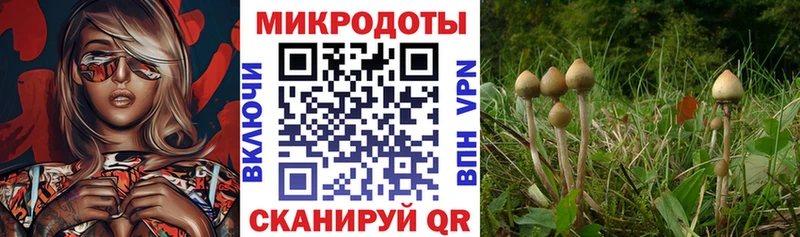 Псилоцибиновые грибы GOLDEN TEACHER  Ливны 